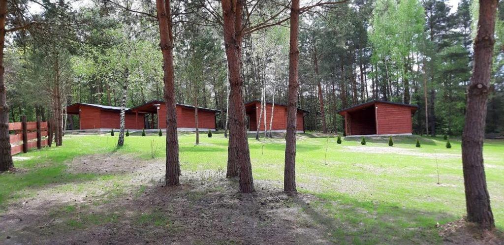 Domki Wrzosowe Wzgorza Nr2 Horyniec Esterno foto