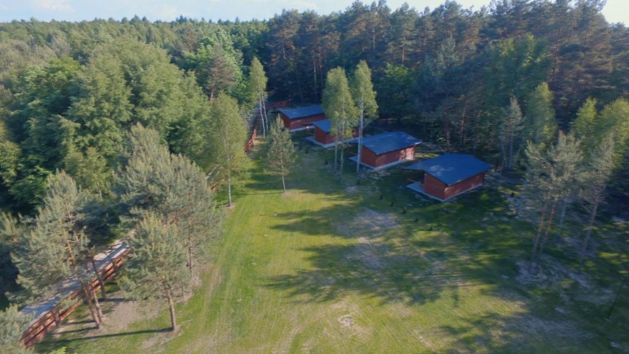 Domki Wrzosowe Wzgorza Nr2 Horyniec Esterno foto