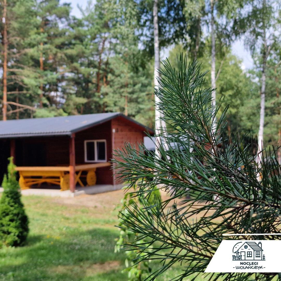 Domki Wrzosowe Wzgorza Nr2 Horyniec Esterno foto