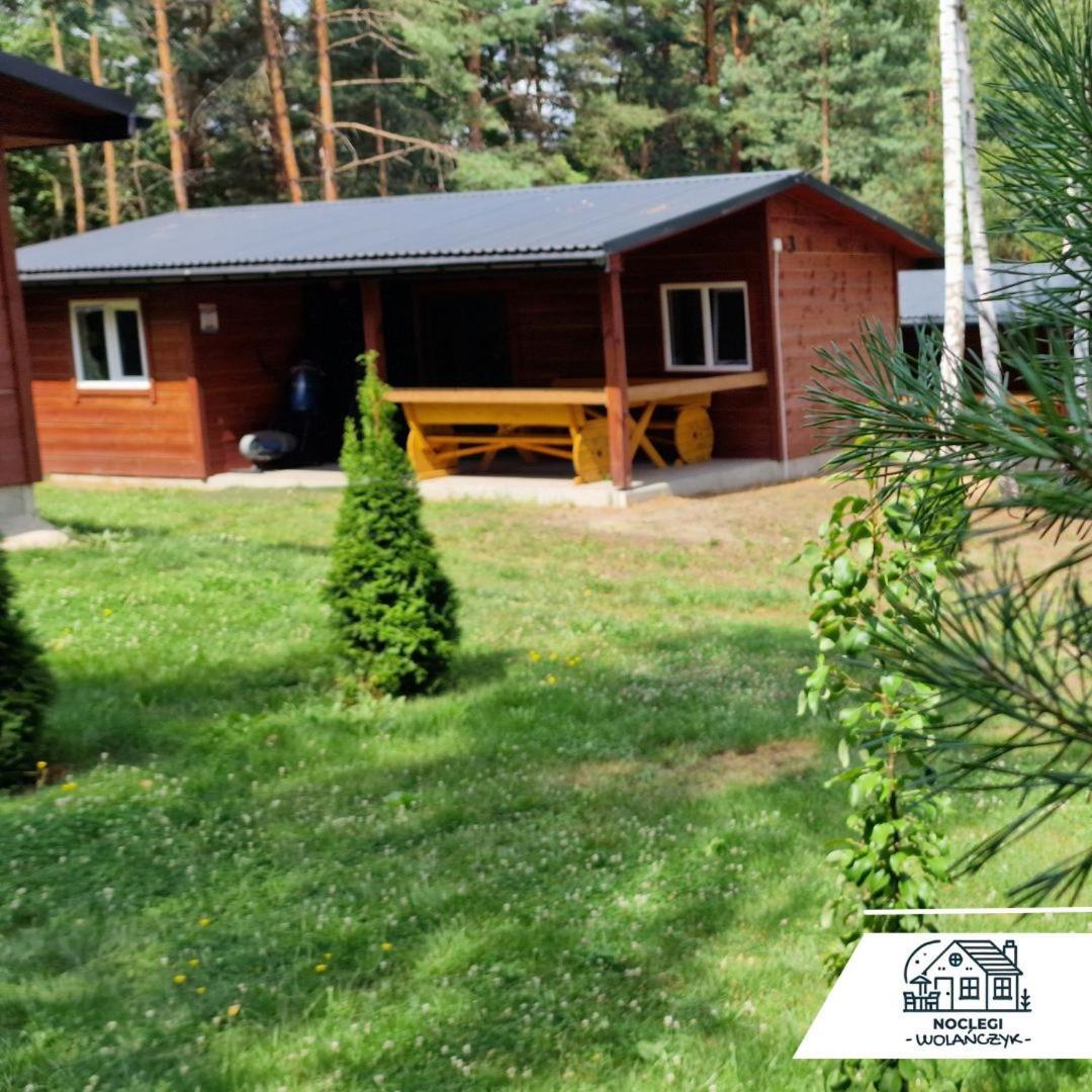 Domki Wrzosowe Wzgorza Nr2 Horyniec Esterno foto